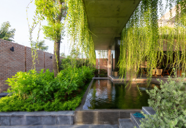 Taman atap dengan tumbuhan gantung